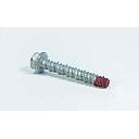 Screw bolt Gal 12x100